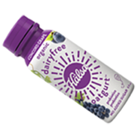 Halsa Organic Concord Grape Oatgurt With Probiotics - No Added Sugar, oat milk, oat yogurt, oatgurt, organic, halsa, 100% clean