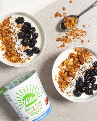 There is some serious power in this bowl. 💪 That's because oats are one of the best and most environmentally friendly ingredients for making plant-based milks and yogurt. Oats are a resilient grain that protects against soil erosion and reduces the need for herbicides while requiring much less water than other crops. Plus, Hälsa oats are always grown with a zero water footprint. When you make this breakfast bowl you can rest assured that Hälsa is good for your body and for the earth! 🌍 #HälsaFoods

Ingredients:
- 1 cup Plain Unsweetened Hälsa oatgurt
- 1 cup fresh washed blackberries
- 4 tbsp toasted oat granola
- 1 sprinkle of coconut flakes